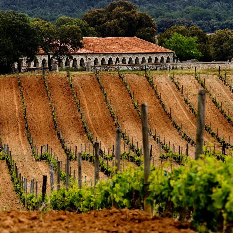 La Posada De Pradorey Ventosilla Exteriér fotografie